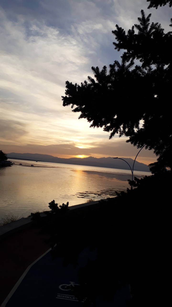 sunset
