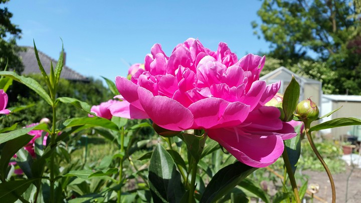 Frühling