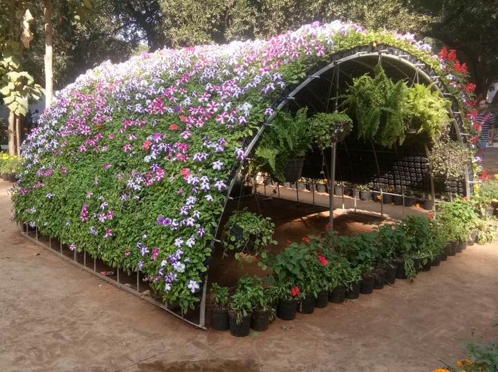 Flower House