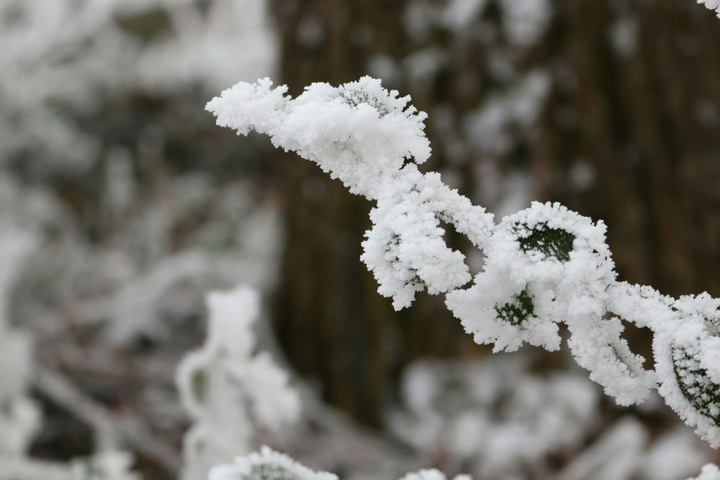 L'hiver