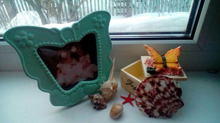 seashells...