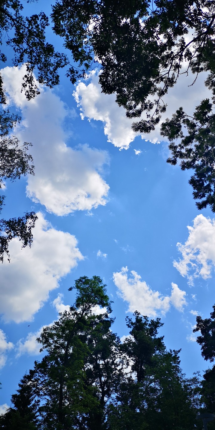 My ? sky