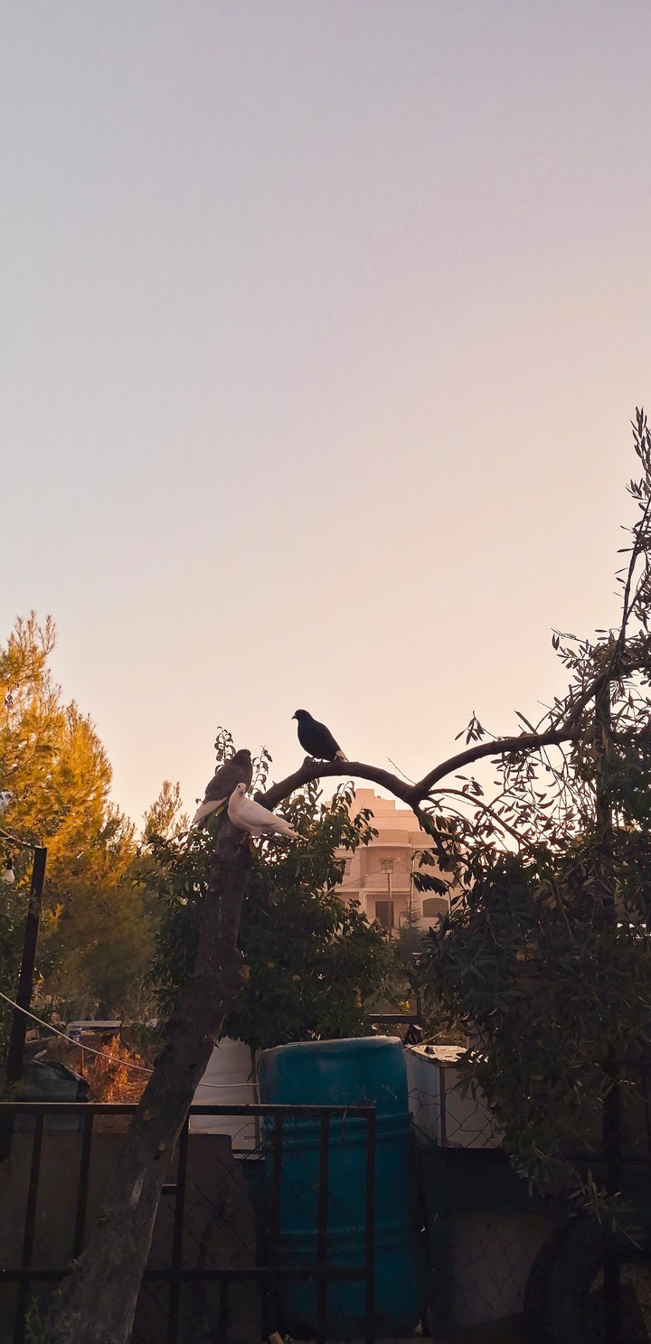 nature