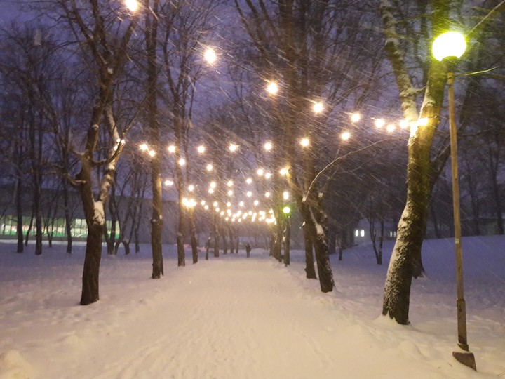winter pic