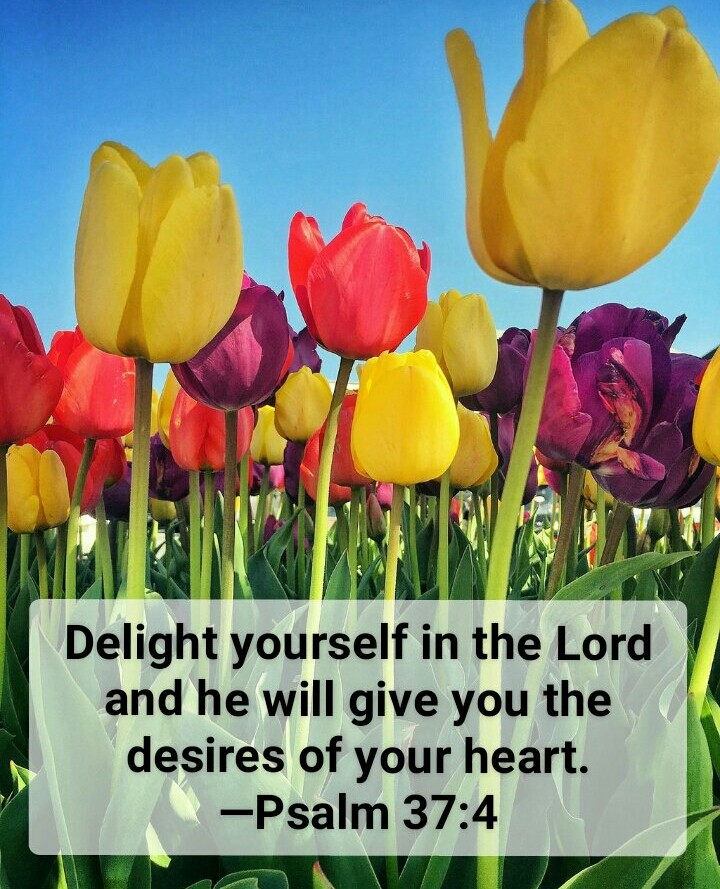 Psalms 37:4