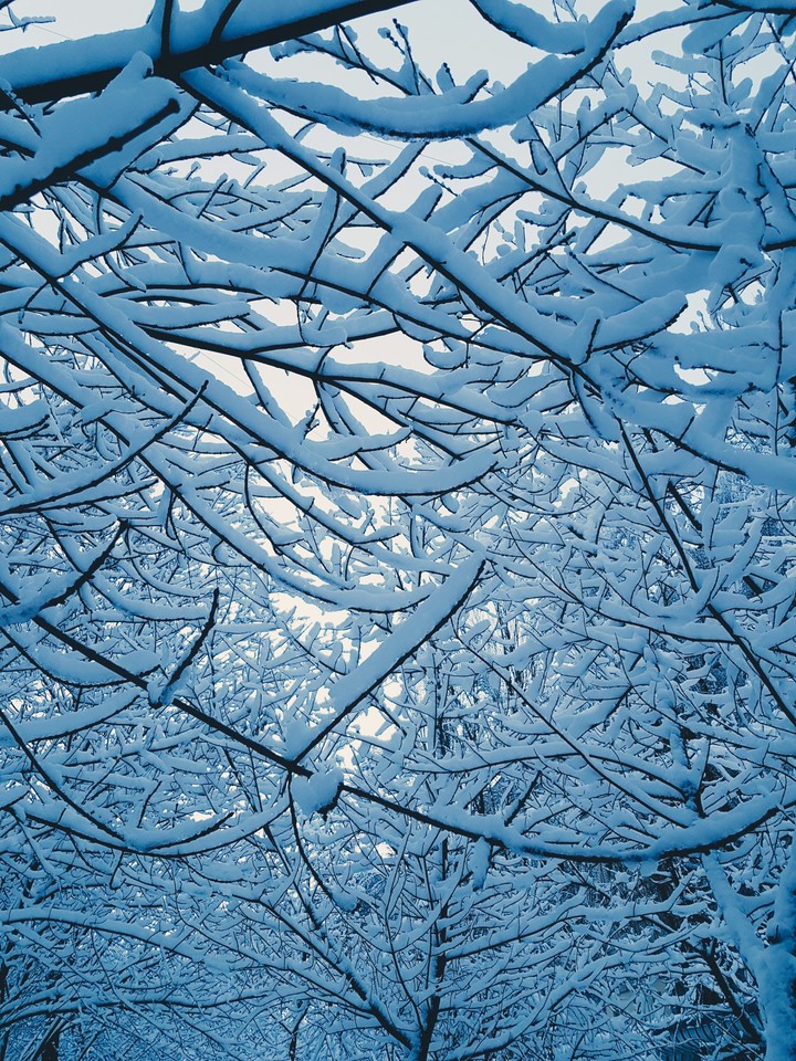 snow