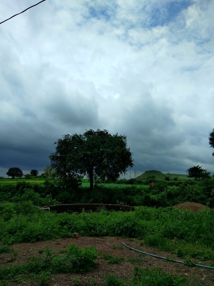 Nature