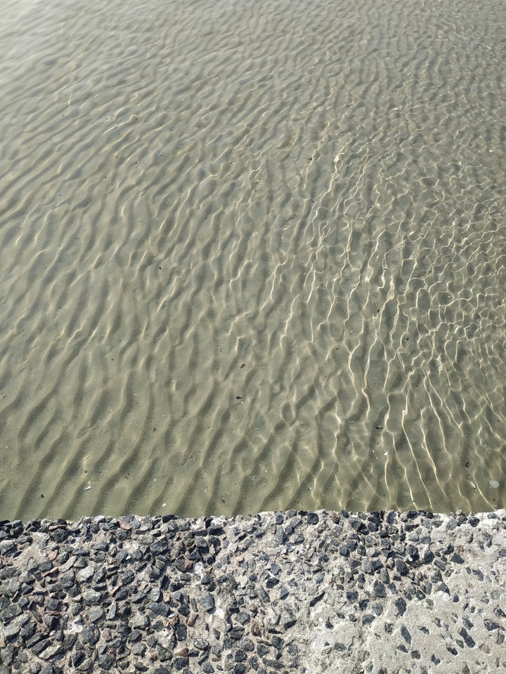 sea vibes