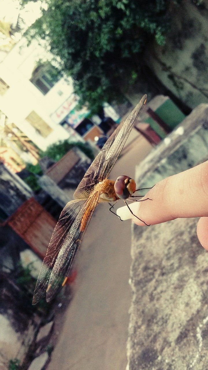my photography