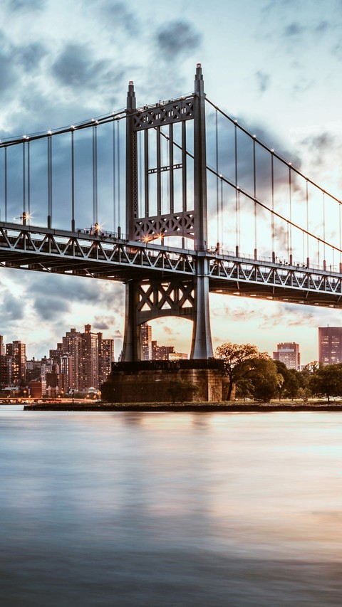 NY