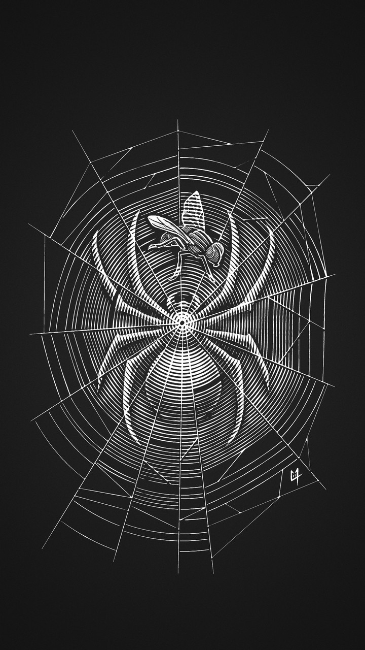 spider