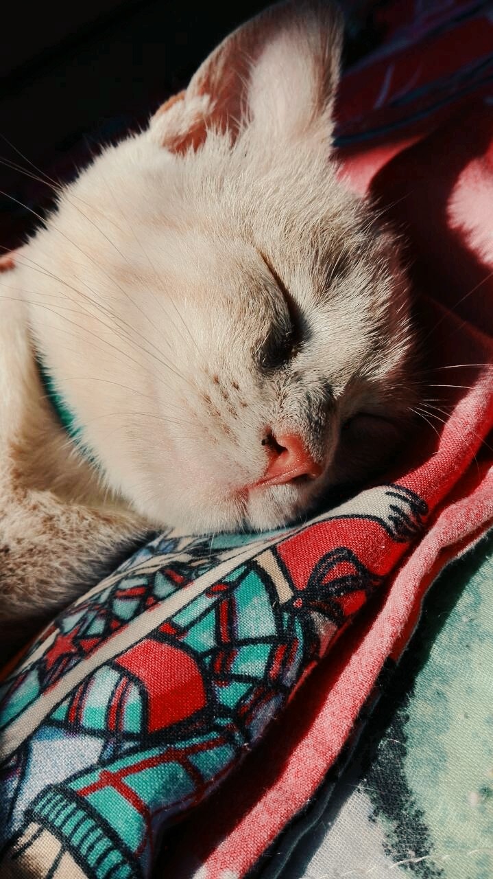 Cute...