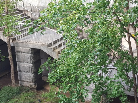 The stairs