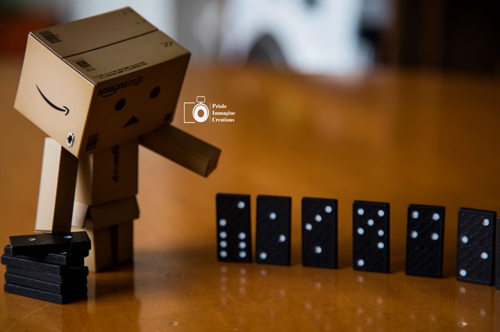 Danbo e il domino