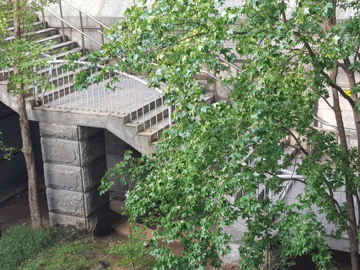 The stairs