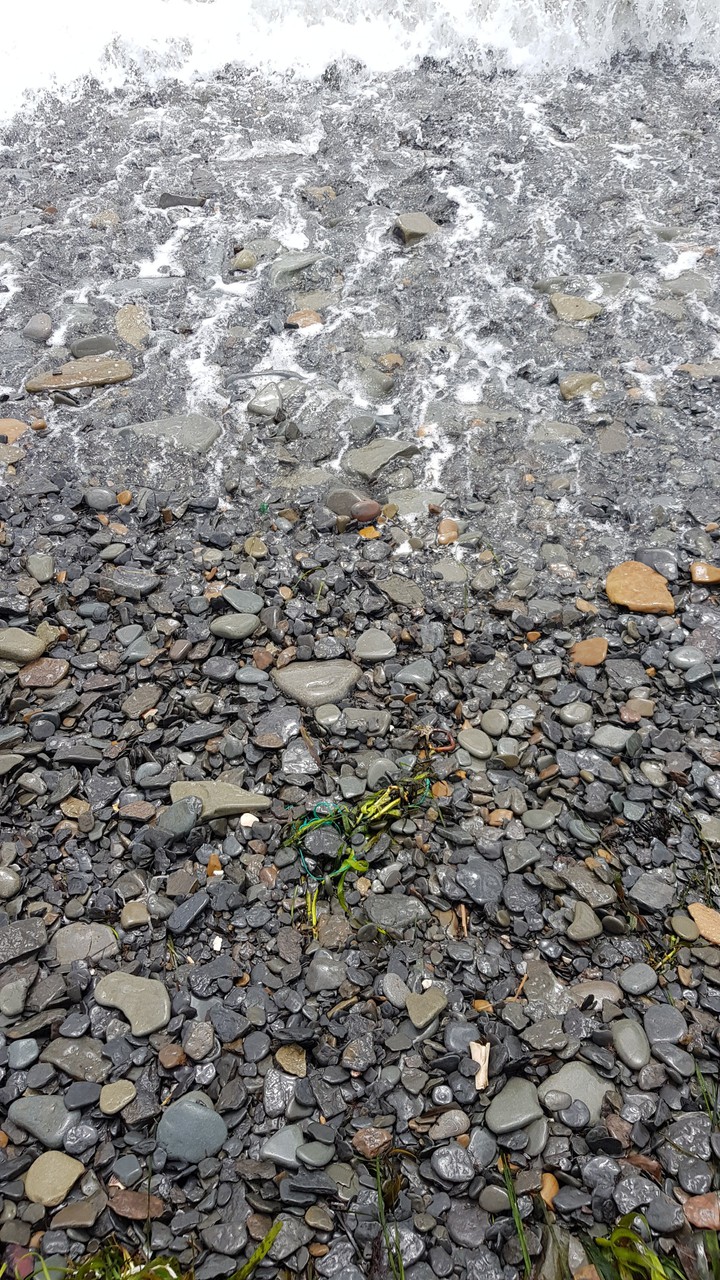 sea