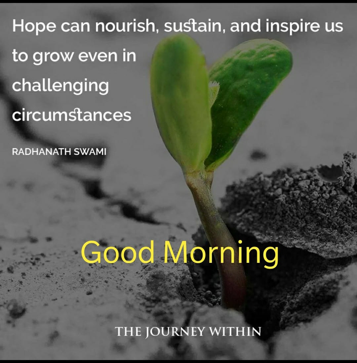 good Morning