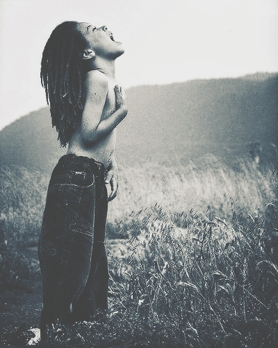 Rasta Boy