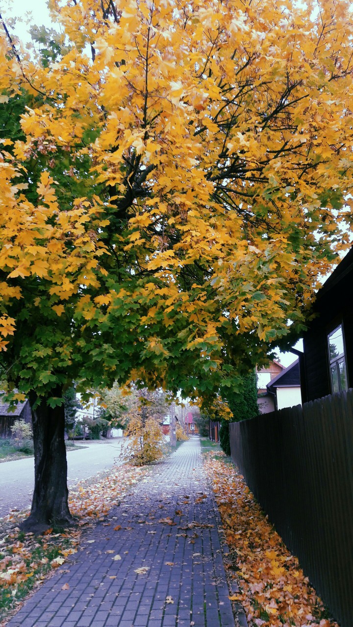 Kamienczyk,Polska