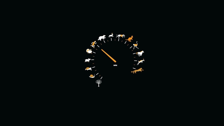 Minimalist Reality
