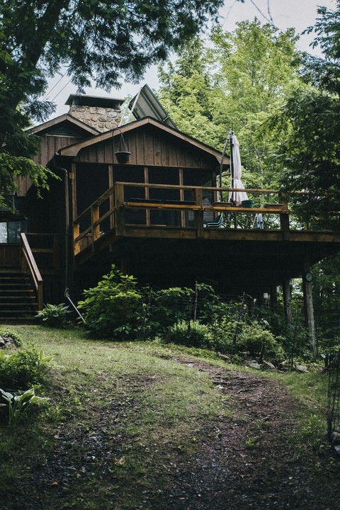 jungle, Porch wallpapers