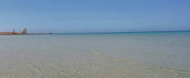 immerso nel mare