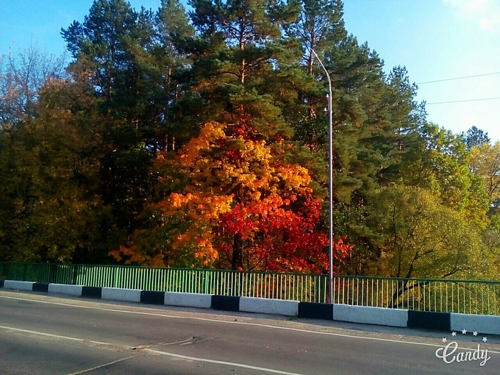 Осень