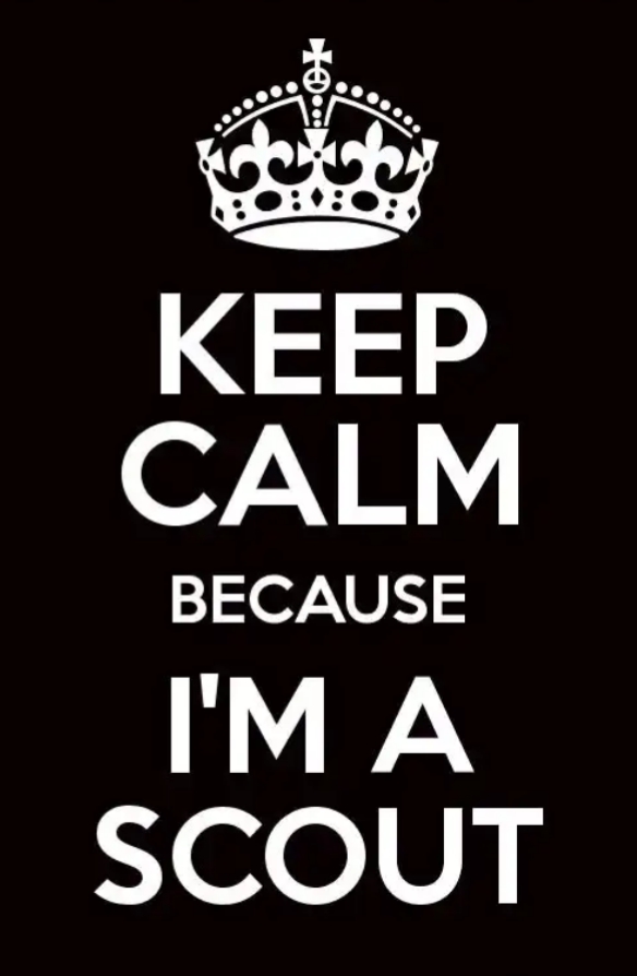 scout