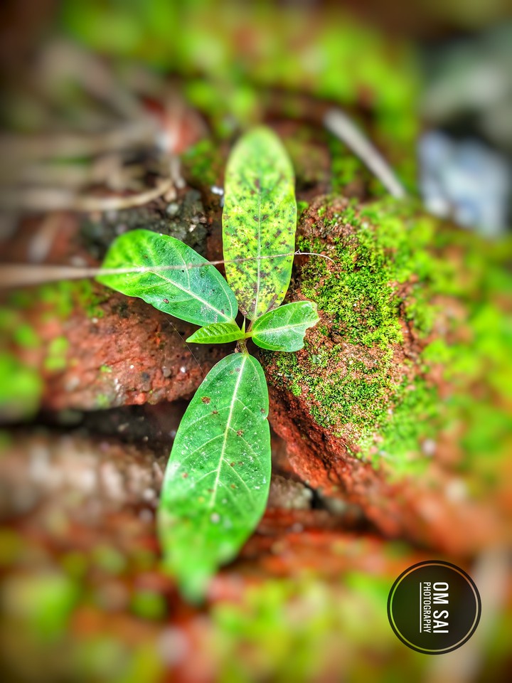 mobile click