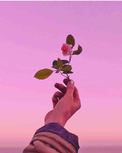 aesthetic