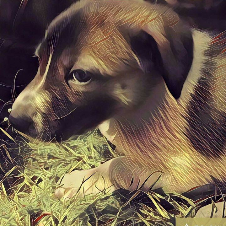 Cute