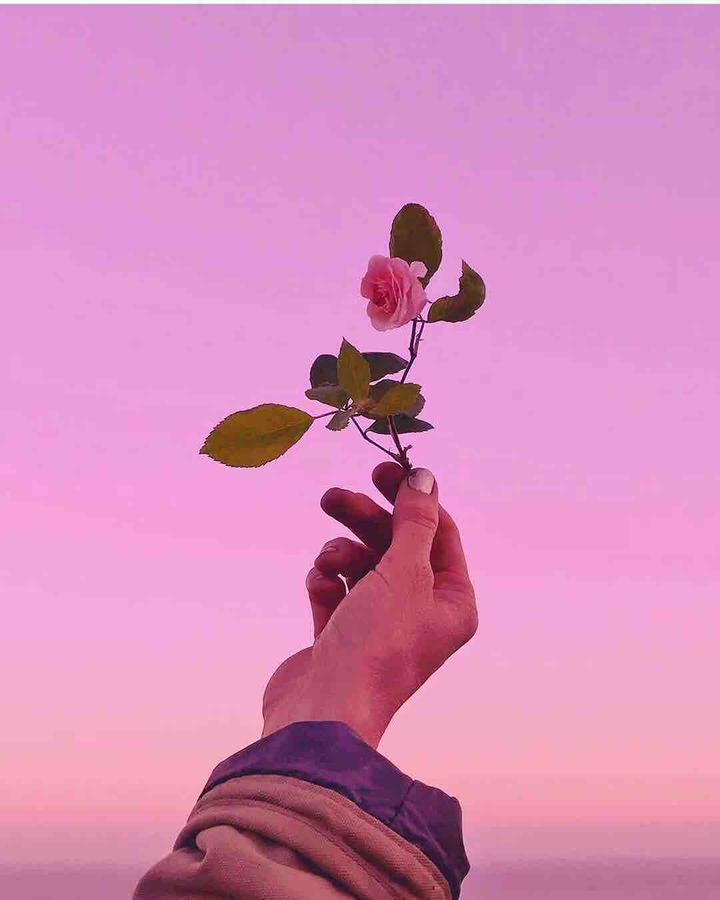 aesthetic