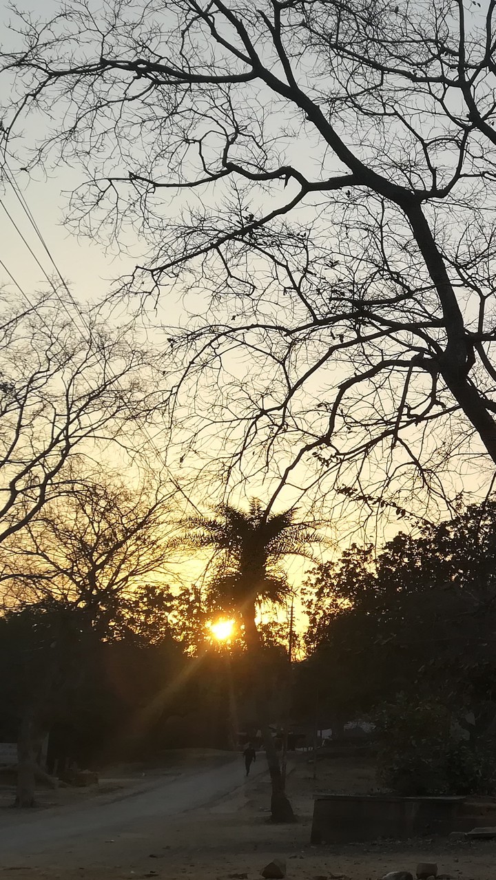 Beauty of nature at sunset