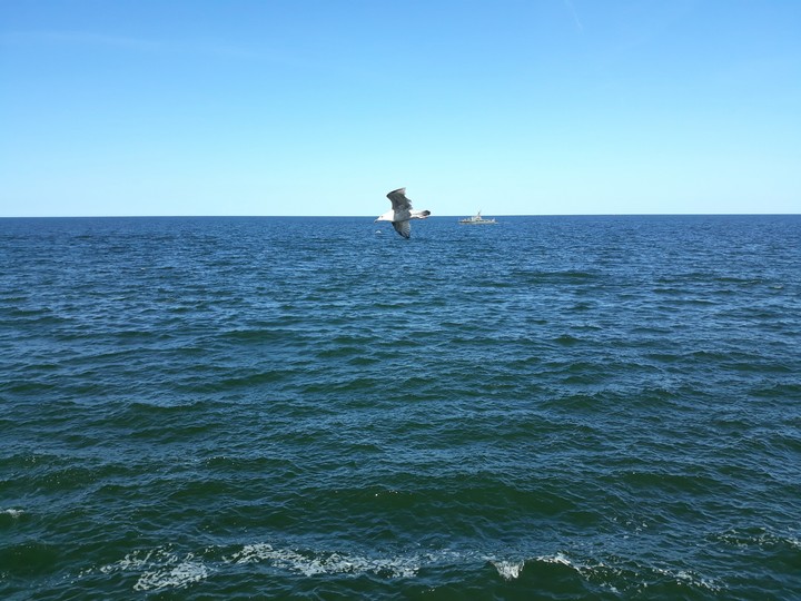 Sea