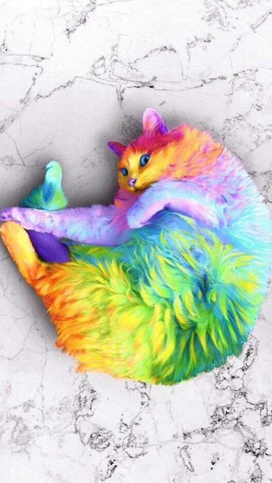 кошка