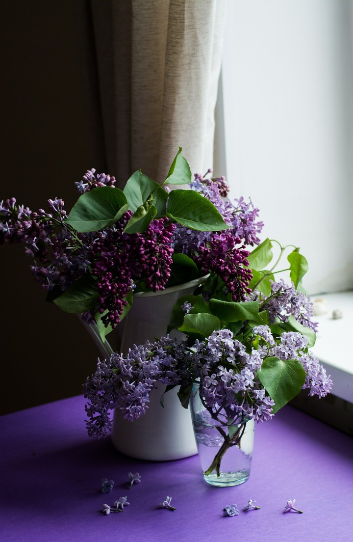 flowers