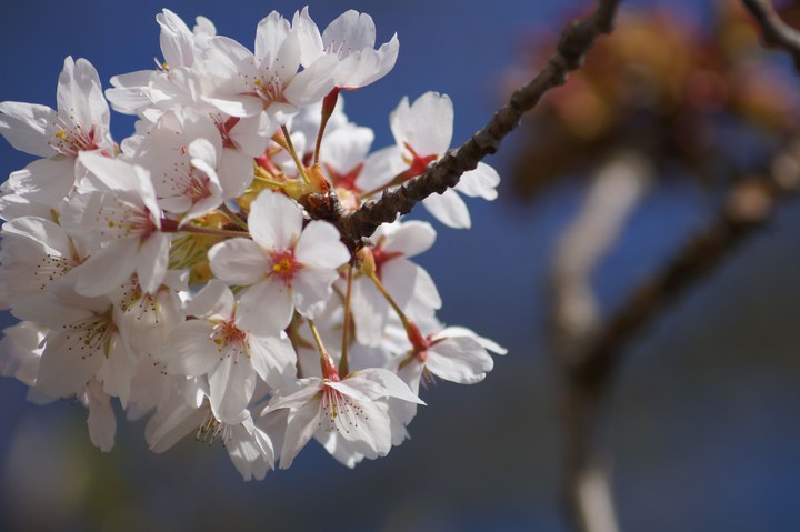 Spring is everywhere