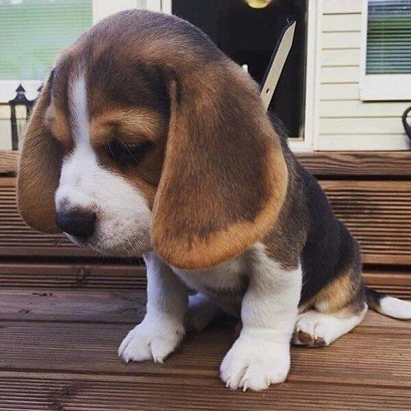 ✨✨