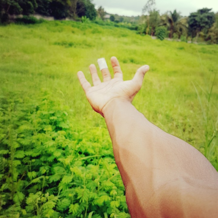nature feels good