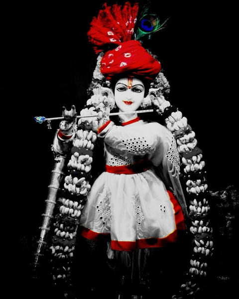 radharaman sarkar