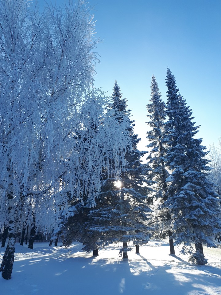зимний пейзаж
