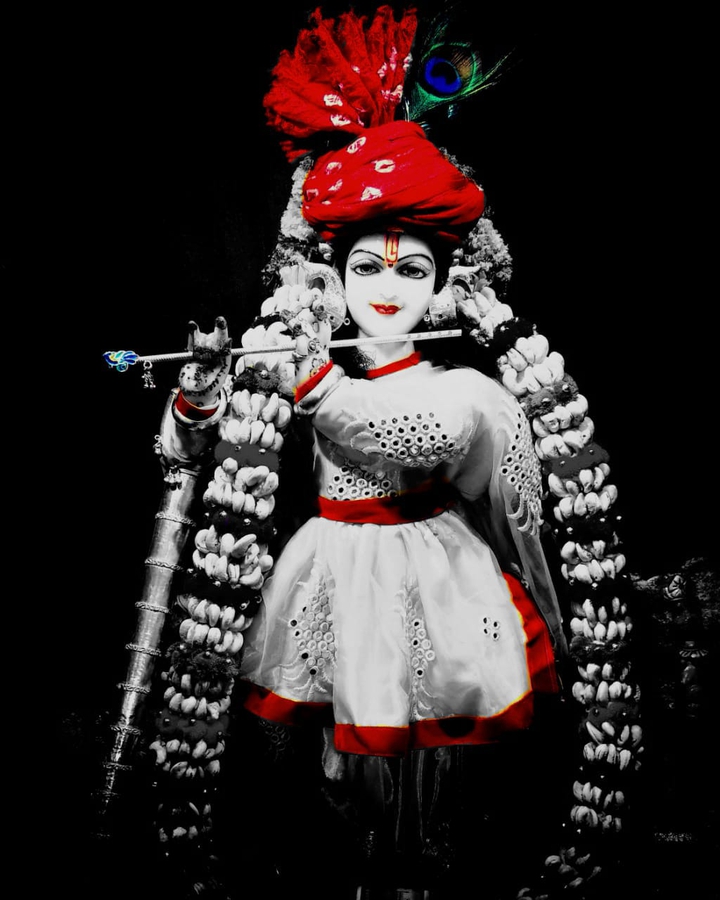 radharaman sarkar