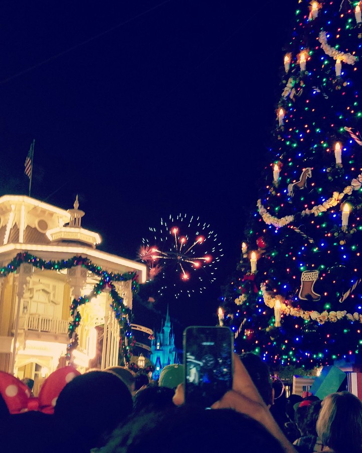The Magical Kingdom