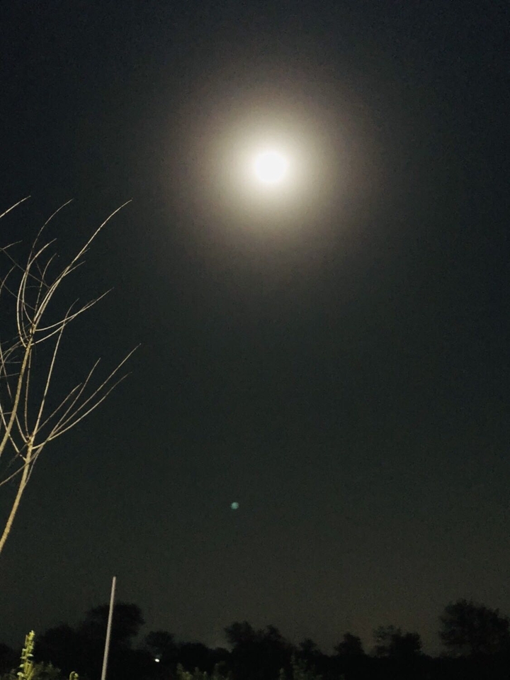 moon