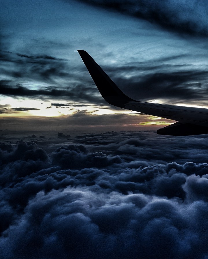 fly