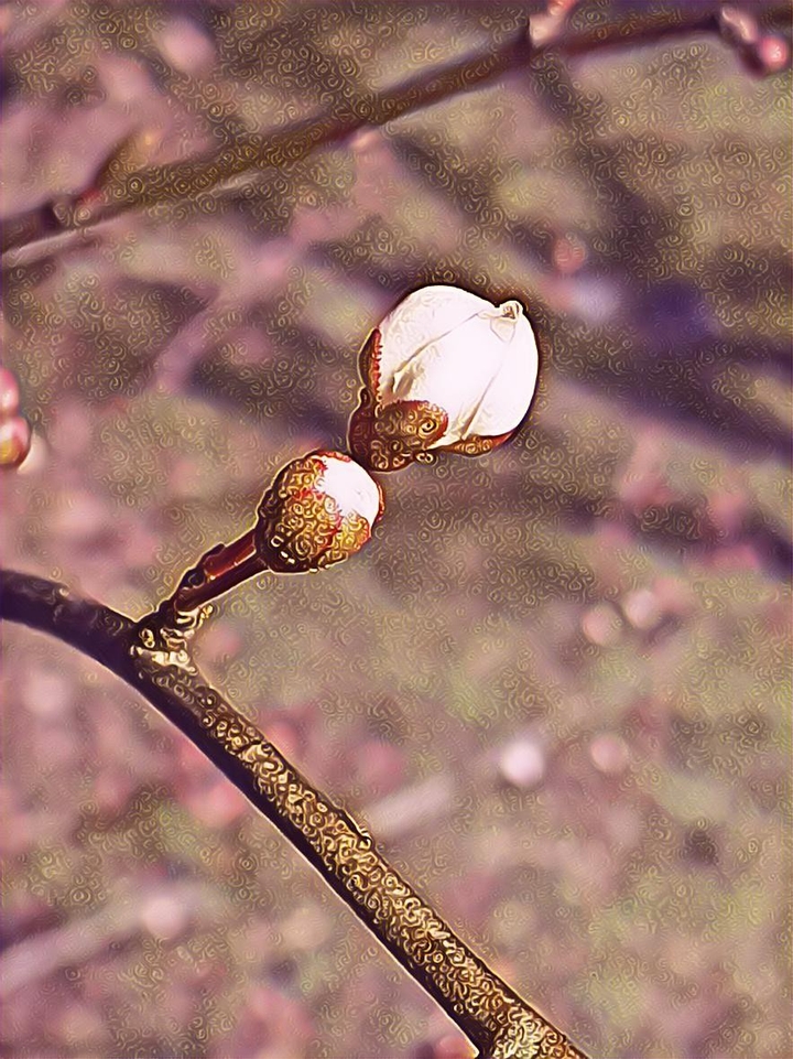 Waiting for spring