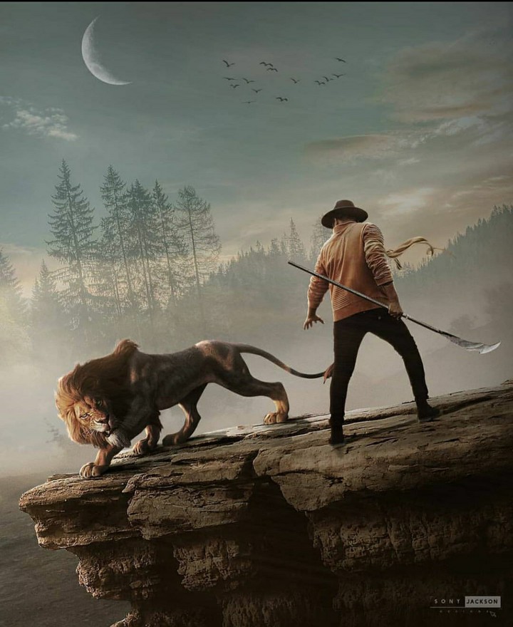 lion