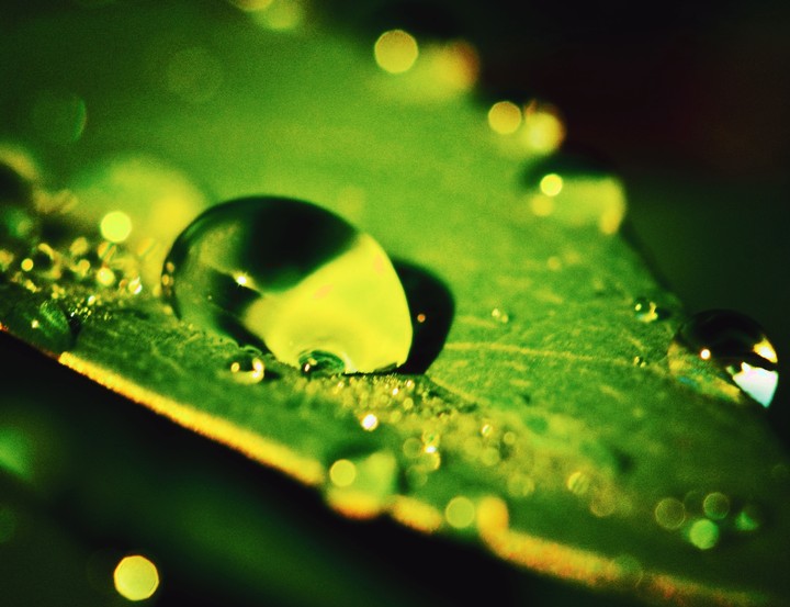 water drop