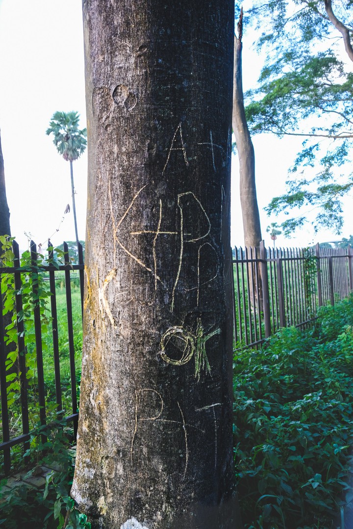 +- Vandalism..