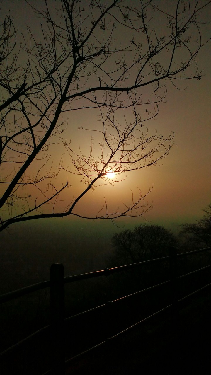 Beautiful sunrise